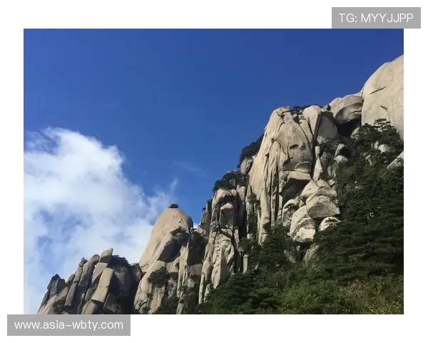 万博manbetx真假问题解析：用户常见的识别方法与注意事项