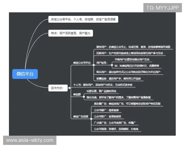 万博这个网站如何盈利：从内容运营到用户粘性提升的盈利策略分析