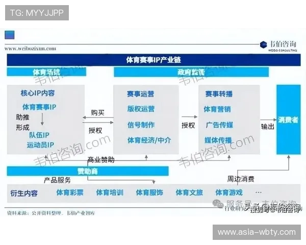 B sports国际首页详细解析多元化体育项目覆盖范围与专业分析内容
