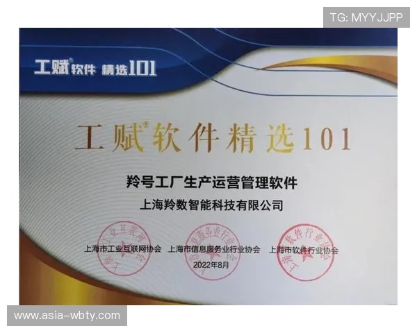 博万体育挂机软件优化建议，提升软件运行稳定性和使用体验