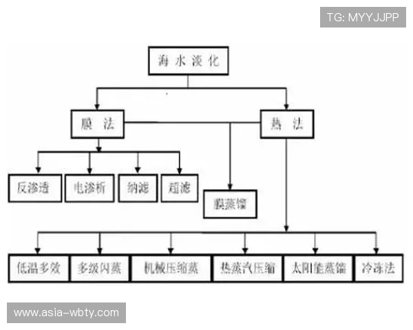 深入分析manbext万博官方的市场发展现状与未来趋势研究